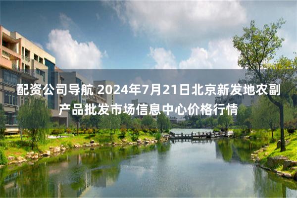 配资公司导航 2024年7月21日北京新发地农副产品批发市场信息中心价格行情