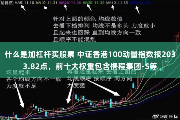 什么是加杠杆买股票 中证香港100动量指数报2033.82点，前十大权重包含携程集团-S等