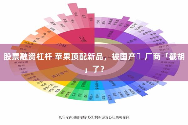 股票融资杠杆 苹果顶配新品，被国产​厂商「截胡」了？