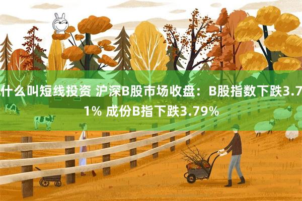 什么叫短线投资 沪深B股市场收盘：B股指数下跌3.71% 成份B指下跌3.79%