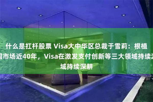 什么是扛杆股票 Visa大中华区总裁于雪莉：根植中国市场近40年，Visa在激发支付创新等三大领域持续深耕