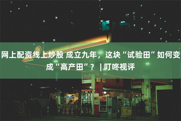 网上配资线上炒股 成立九年，这块“试验田”如何变成“高产田”？ | 叮咚视评