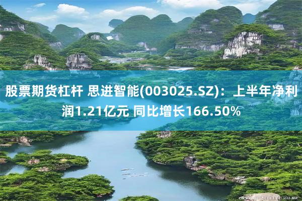 股票期货杠杆 思进智能(003025.SZ)：上半年净利润1.21亿元 同比增长166.50%