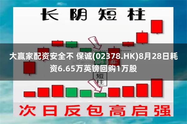 大赢家配资安全不 保诚(02378.HK)8月28日耗资6.65万英镑回购1万股