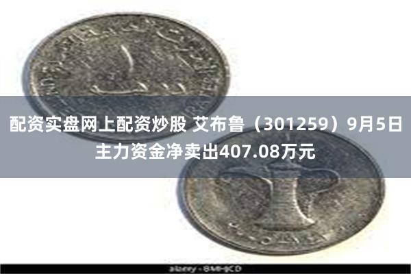 配资实盘网上配资炒股 艾布鲁（301259）9月5日主力资金净卖出407.08万元