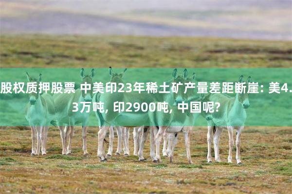 股权质押股票 中美印23年稀土矿产量差距断崖: 美4.3万吨, 印2900吨, 中国呢?