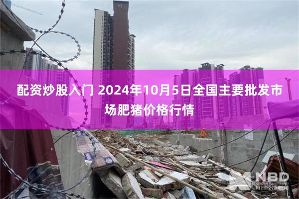 配资炒股入门 2024年10月5日全国主要批发市场肥猪价格行情