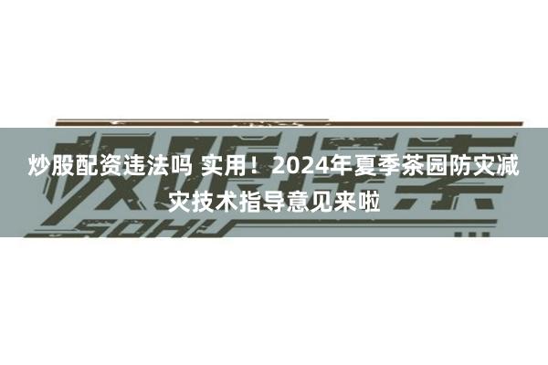 炒股配资违法吗 实用！2024年夏季茶园防灾减灾技术指导意见来啦