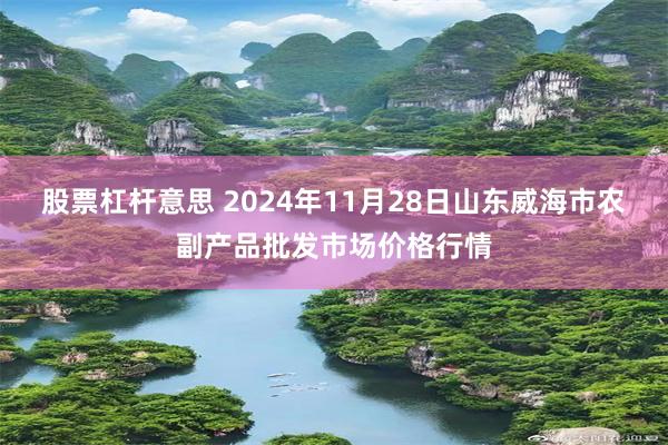 股票杠杆意思 2024年11月28日山东威海市农副产品批发市场价格行情