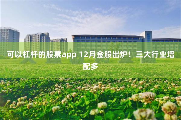 可以杠杆的股票app 12月金股出炉！三大行业增配多