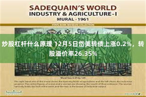 炒股杠杆什么原理 12月5日岱美转债上涨0.2%，转股溢价率26.35%