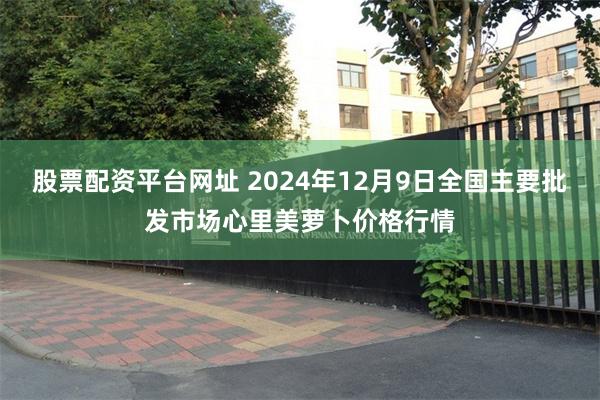 股票配资平台网址 2024年12月9日全国主要批发市场心里美萝卜价格行情