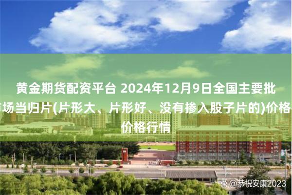 黄金期货配资平台 2024年12月9日全国主要批发市场当归片(片形大、片形好、没有掺入股子片的)价格行情