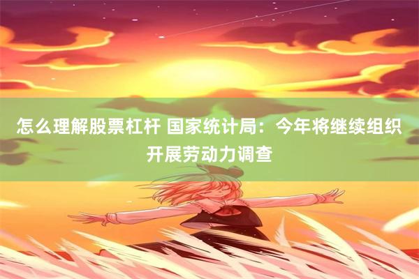 怎么理解股票杠杆 国家统计局：今年将继续组织开展劳动力调查