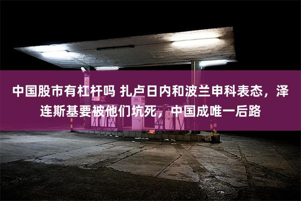 中国股市有杠杆吗 扎卢日内和波兰申科表态，泽连斯基要被他们坑死，中国成唯一后路