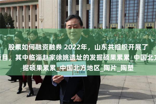 股票如何融资融券 2022年，山东共组织开展了100个考古发掘项目，其中临淄赵家徐姚遗址的发掘硕果累累_中国北方地区_陶片_陶塑